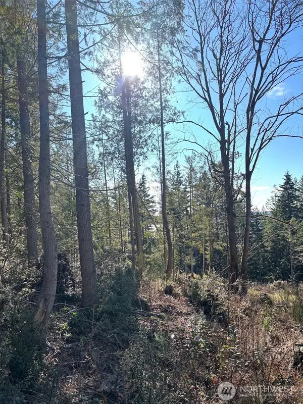 1 Nka Yashi Road #E 1/2 19, 20, 21, Brinnon, WA 98320