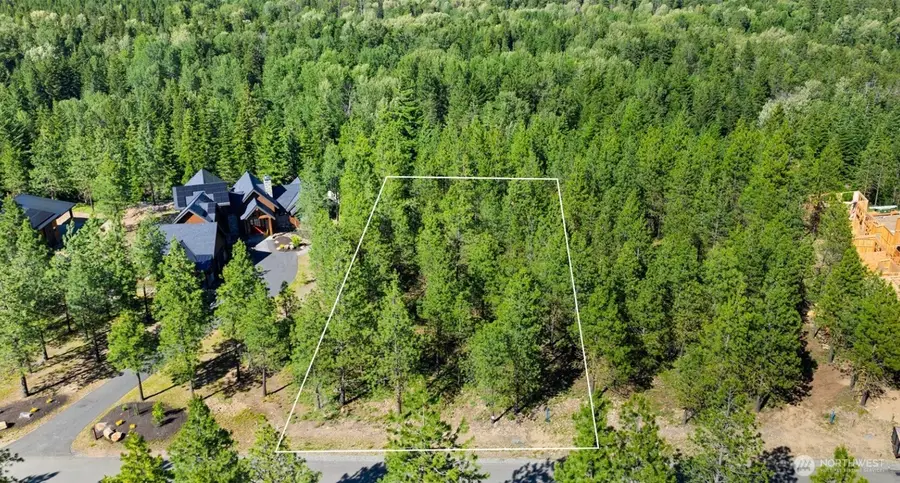 46 Southern Star Lane #Div 15-46, Cle Elum, WA 98922 - #2