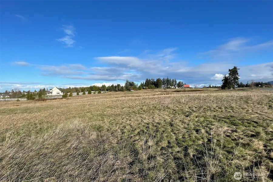 336 Bell Bottom Road, Sequim, WA 98382 - #3