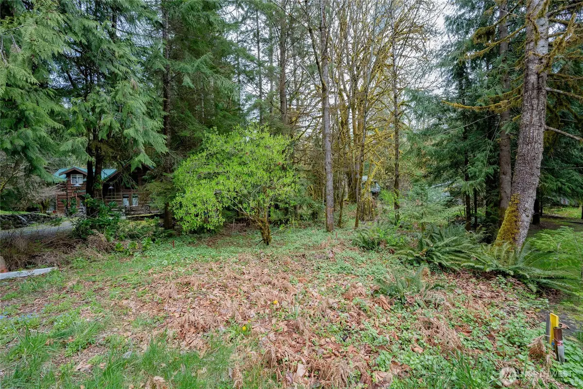 14039 Chimney Lane #39, Deming, WA 98244 - #1