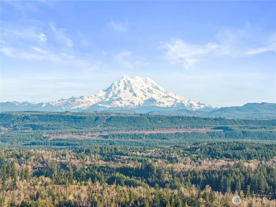 12811 Kapowsin Highlands Drive E, Graham, WA 98338 - #2