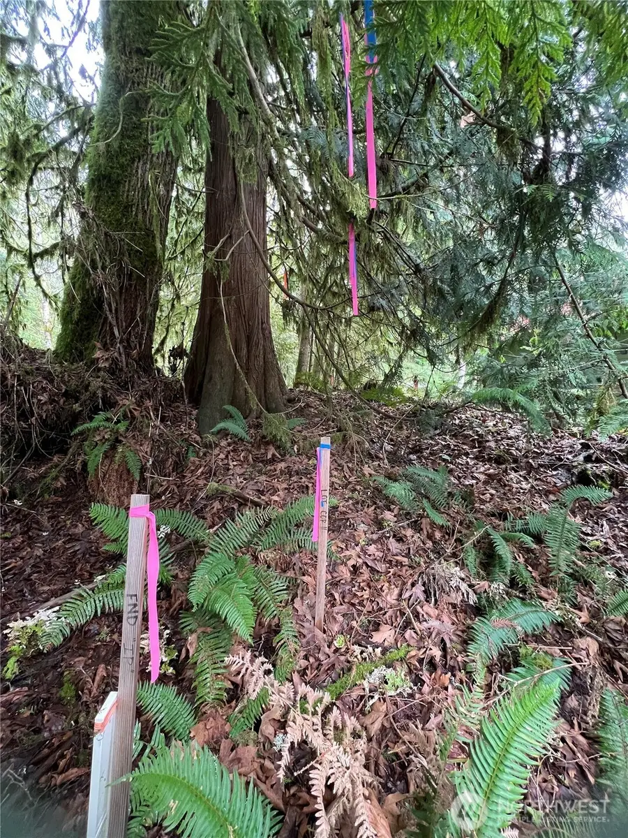 15026 Iceberg Road, Glacier, WA 98244 - #2