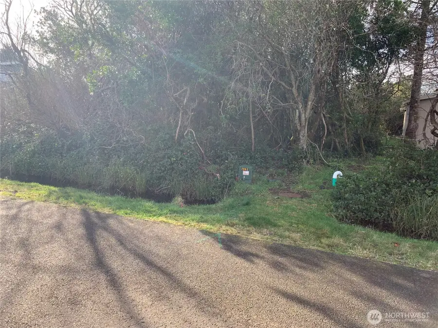 345 S Wynoochee Drive #289, Ocean Shores, WA 98569 - #2