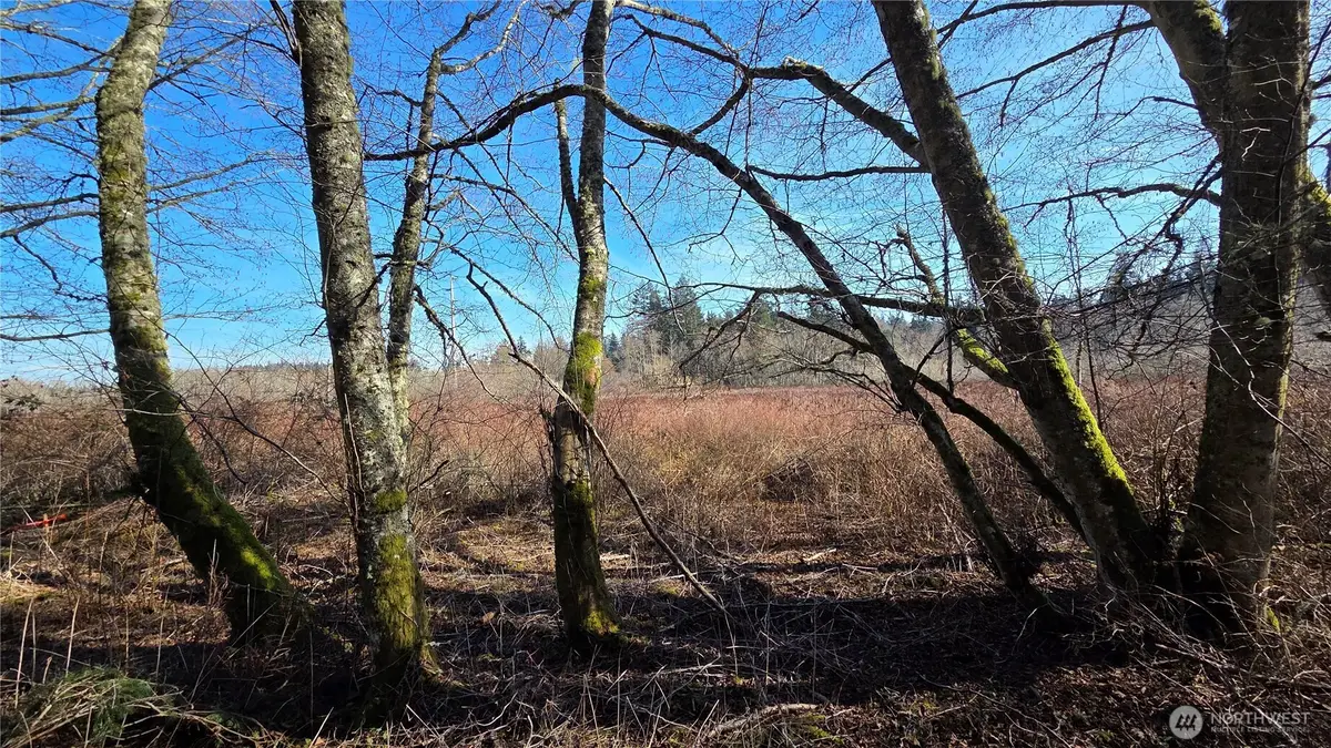 5707 Woodard Avenue, Freeland, WA 98249 - #1