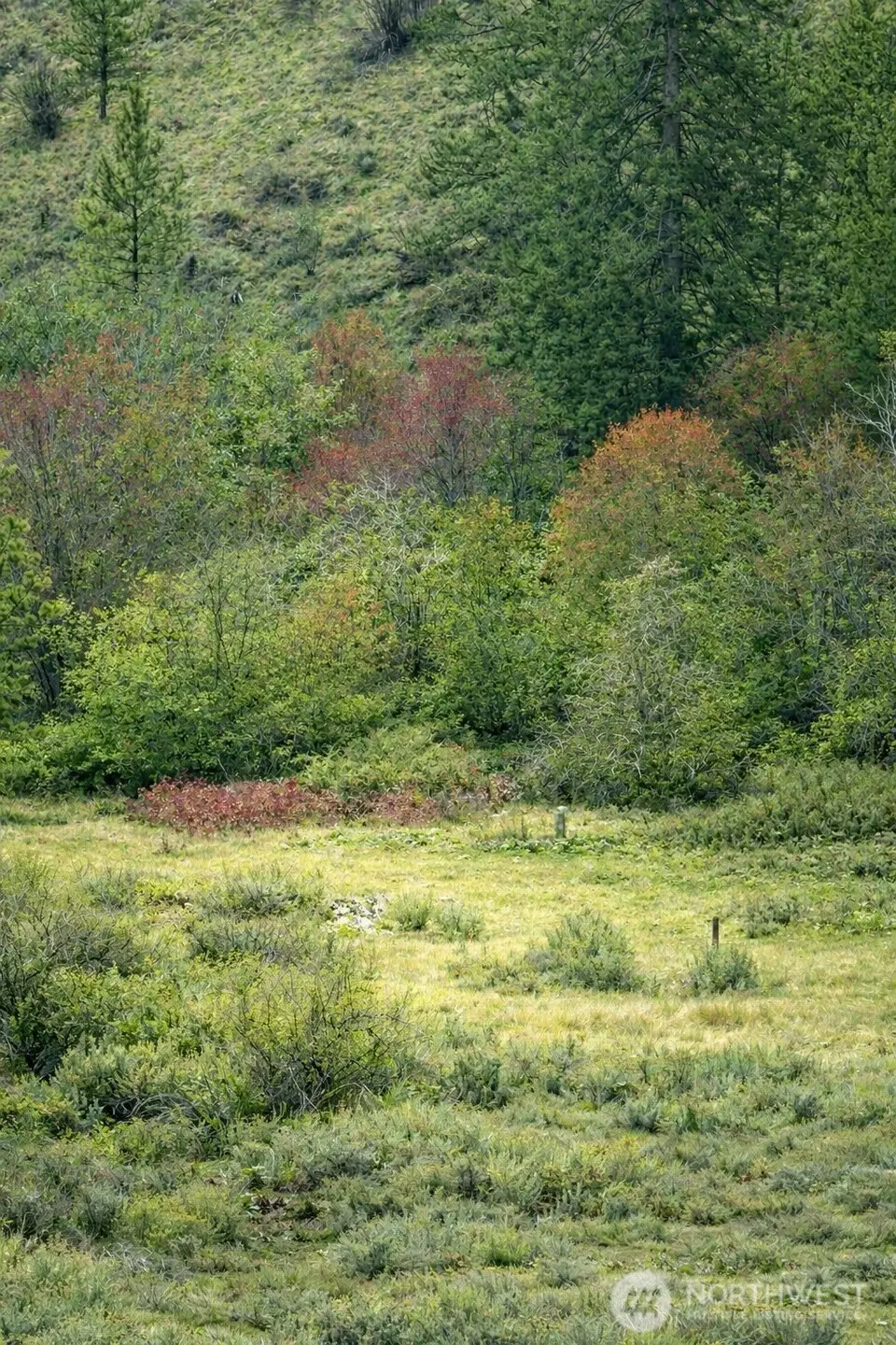 42 Beeman Road, Tonasket, WA 98855 - #1