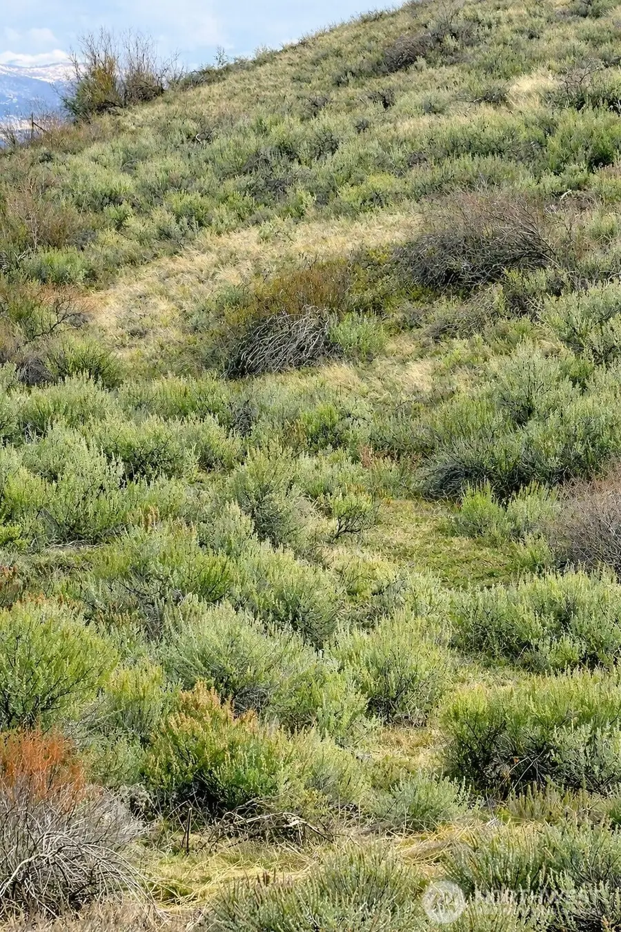 42 Beeman Road, Tonasket, WA 98855 - #2