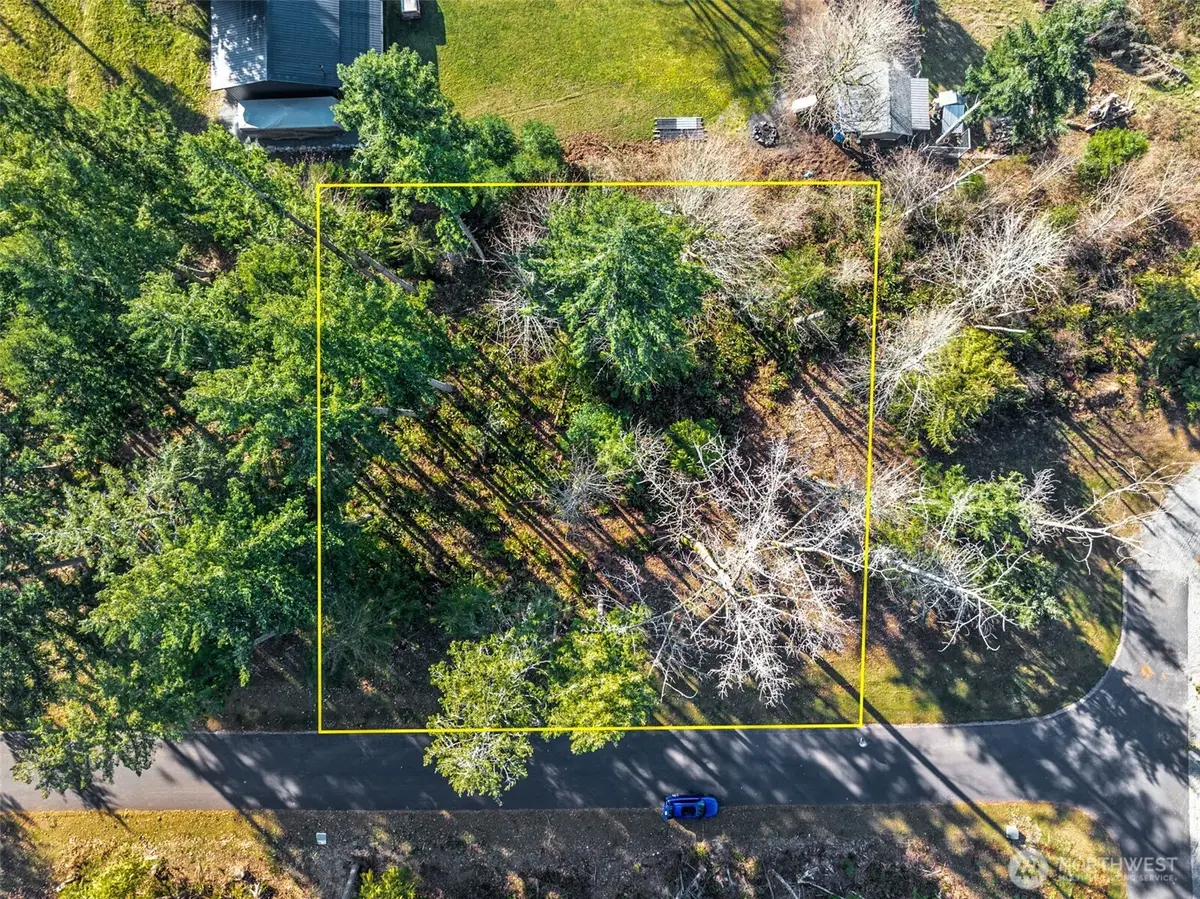 360 Carbon Hill Drive, Carbonado, WA 98323 - #1