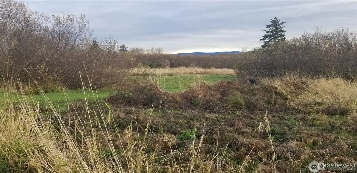 254 Stringtown Road #Lot 4, Ilwaco, WA 98624 - #1