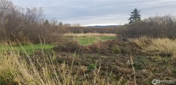 254 Stringtown Road #Lot 4, Ilwaco, WA 98624
