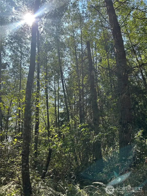 0 Forest View Lane, Greenbank, WA 98253