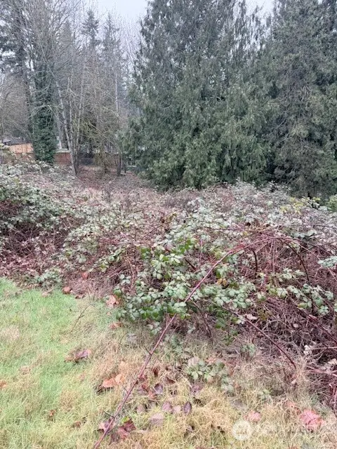 14708 SE 145th Place, Renton, WA 98059 - #3