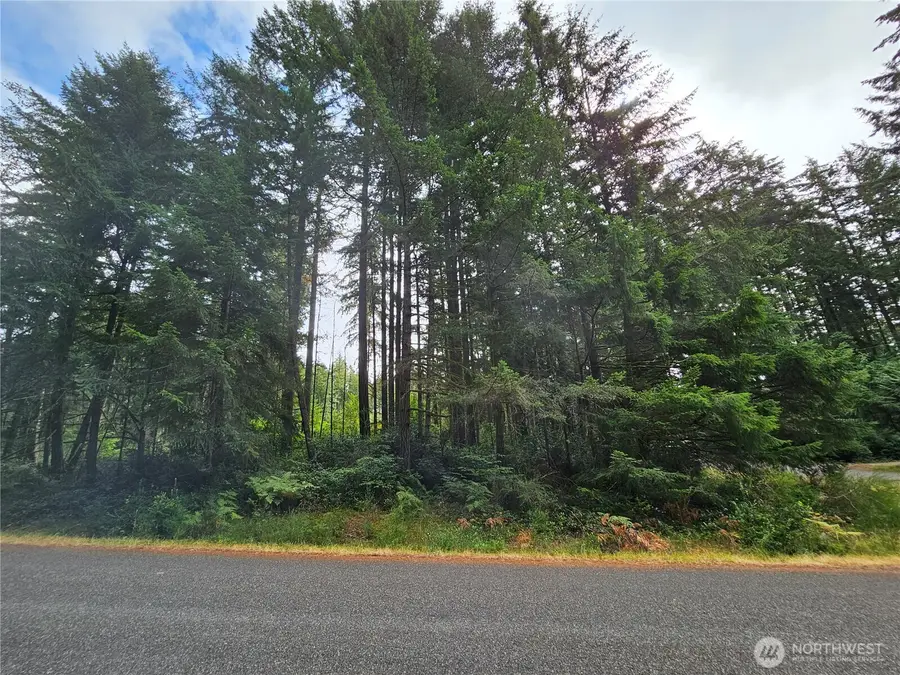 9325 123rd Avenue #13, Anderson Island, WA 98303 - #2