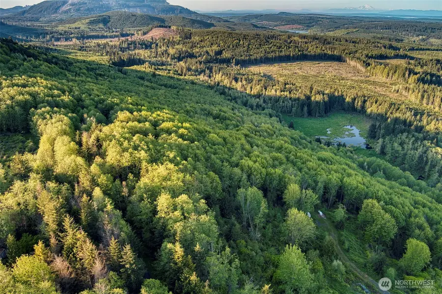 0 Elkhorn Lane, Quilcene, WA 98376 - #2