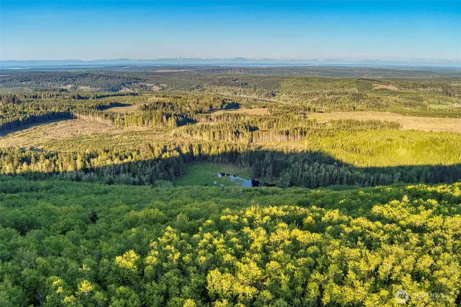 0 Elkhorn Lane, Quilcene, WA 98376 - #3