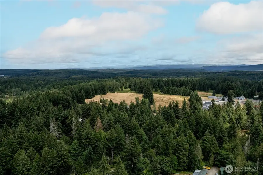 16228 Bald Hills Road Se, Yelm, WA 98597 - #3