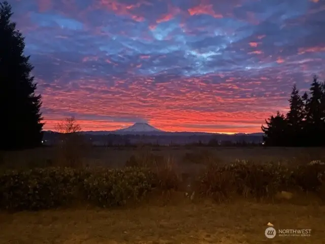 30608 40th Avenue S, Roy, WA 98580 - #2