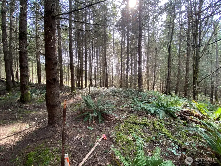 0 250th Ave E #3, Orting, WA 98360 - #2