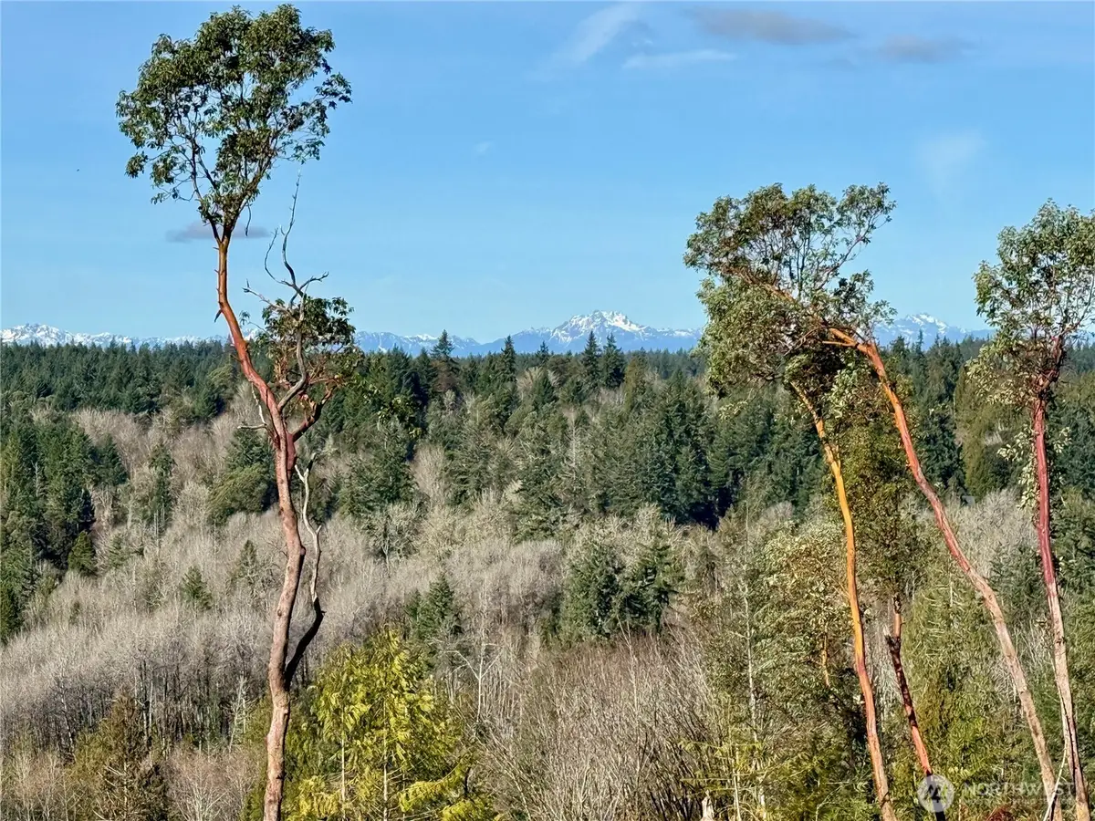 4223 183rd Avenue Ct Sw #Revised Lot A, Longbranch, WA 98351 - #1