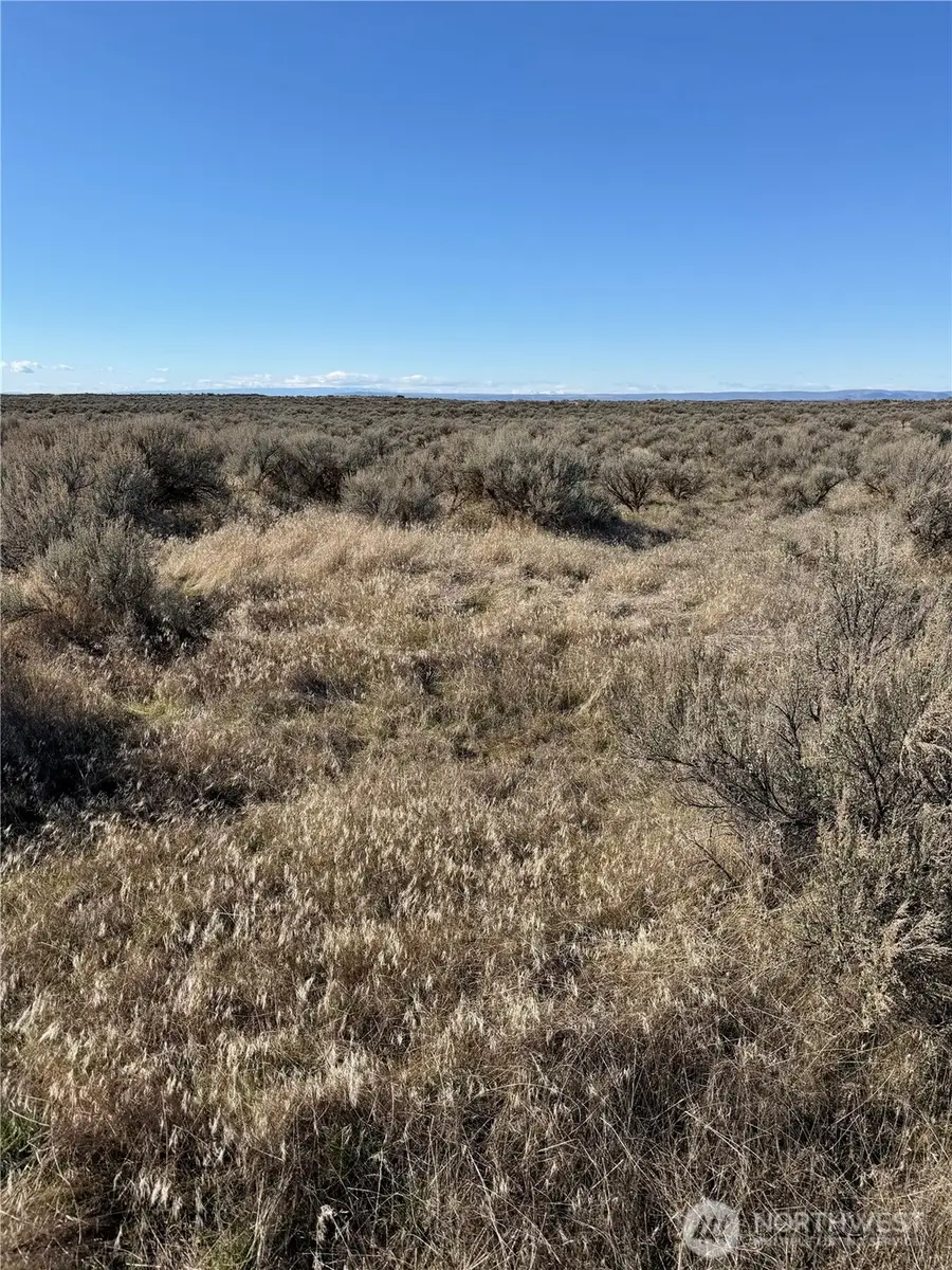 225 Eagle Springs Ranch #225, Wilson Creek, WA 98860 - #2