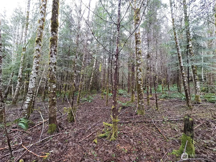 0 W Elk Hill Road #4, Elma, WA 98541 - #3