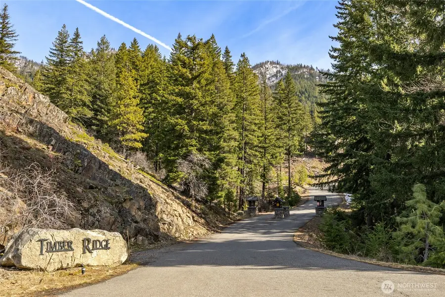 0 Night Sky Drive #9, Ronald, WA 98940 - #2