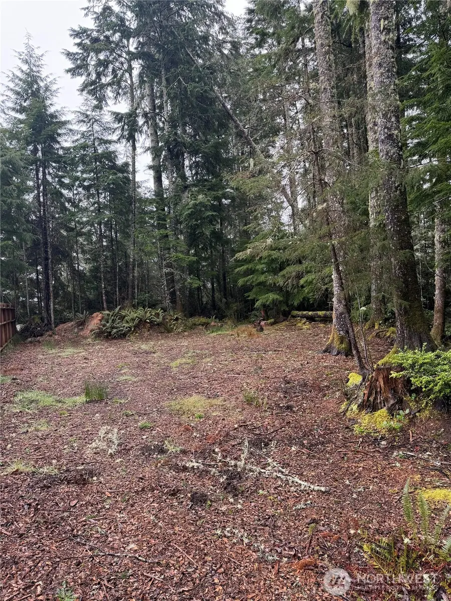 736 Chenois Avenue Ne #163, Ocean Shores, WA 98569 - #3