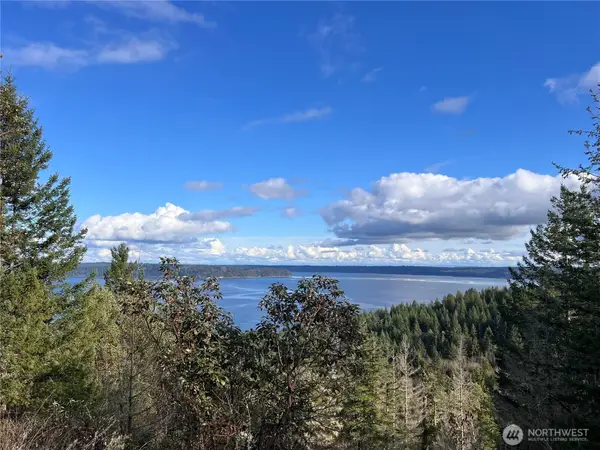 59 Moose Mountain Road, Brinnon, WA 98320