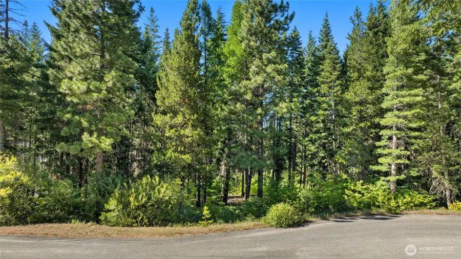 131 Goat Creek Lane #9-4, Cle Elum, WA 98922 - #3