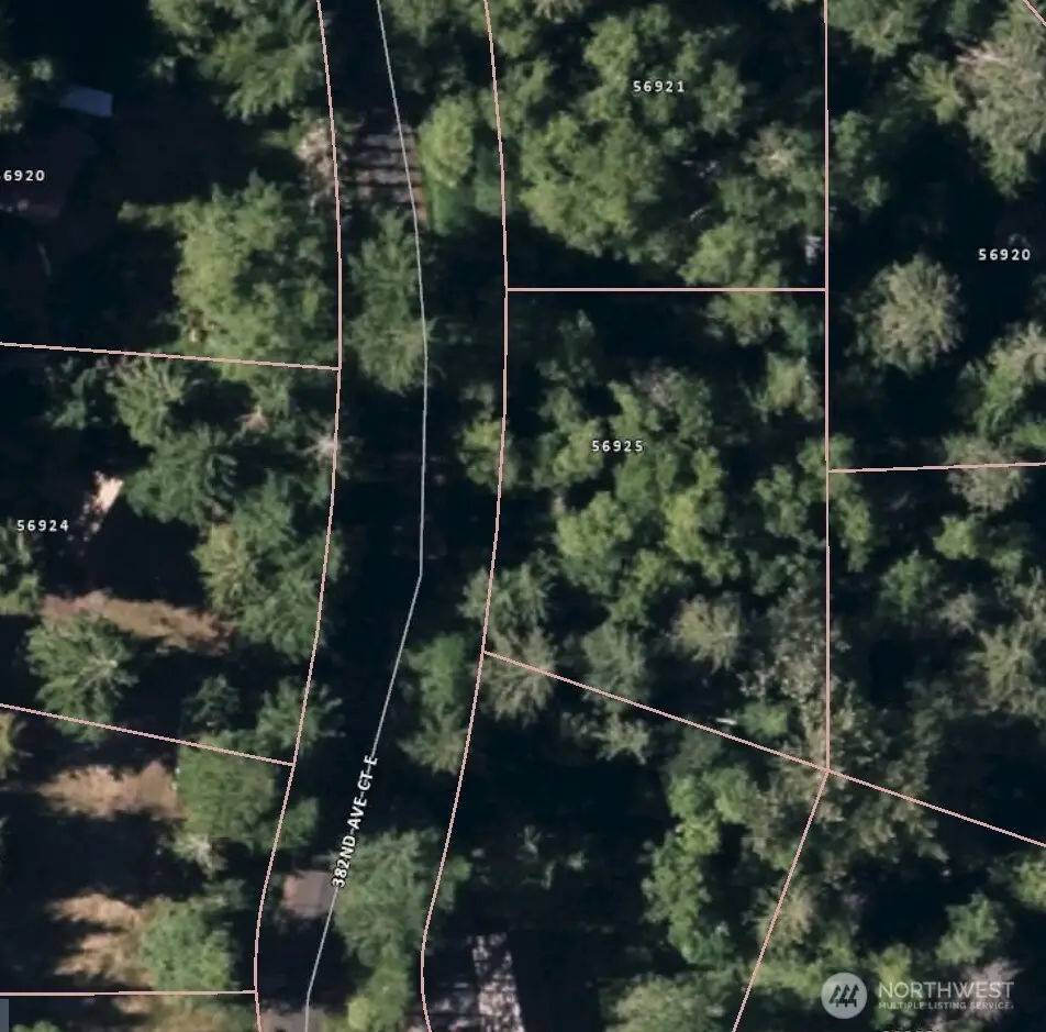 56925 382nd Avenue Ct E, Ashford, WA 98304 - #1