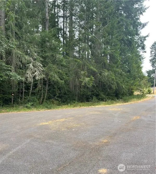 12514 93rd Street Ct, Anderson Island, WA 98303