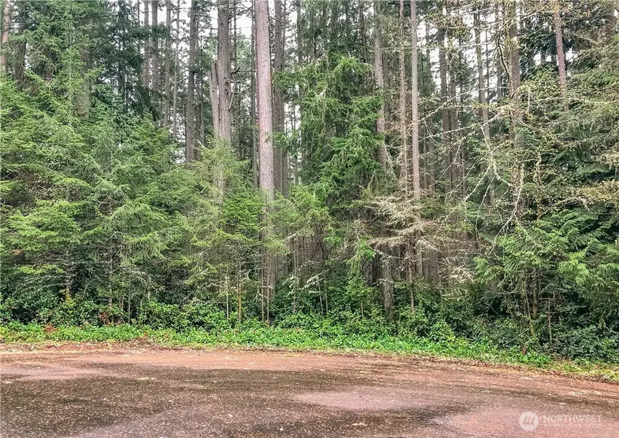 12514 93rd Street Ct, Anderson Island, WA 98303 - #2