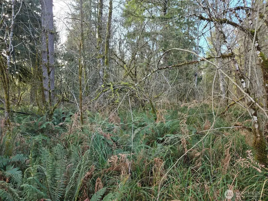 0 Moore Road, Elma, WA 98541 - #3