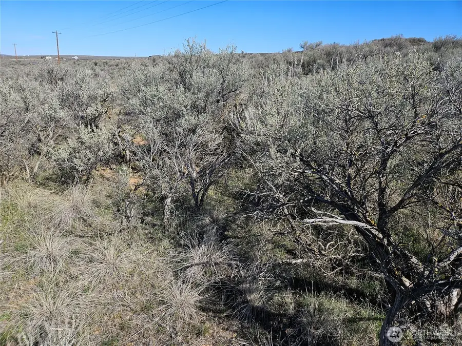 18 Thoroughbred Drive #18, Ephrata, WA 98823 - #2