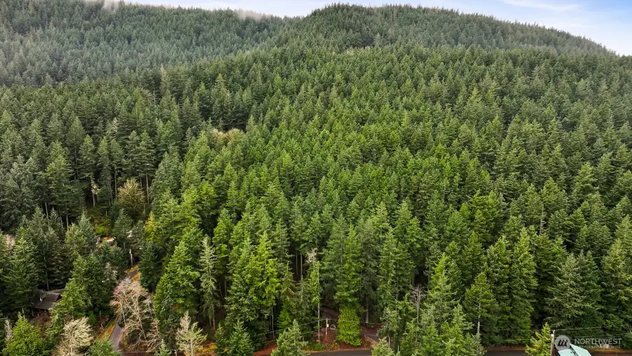 3073 Hales Passage Drive #5, Lummi Island, WA 98262 - #3