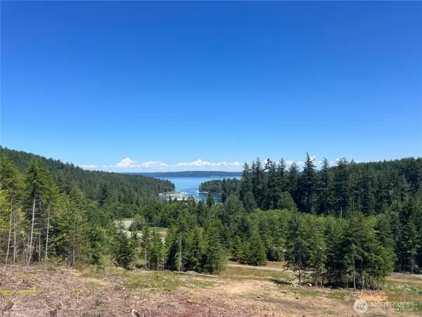 1 Mt Jupiter Road #1, Brinnon, WA 98320