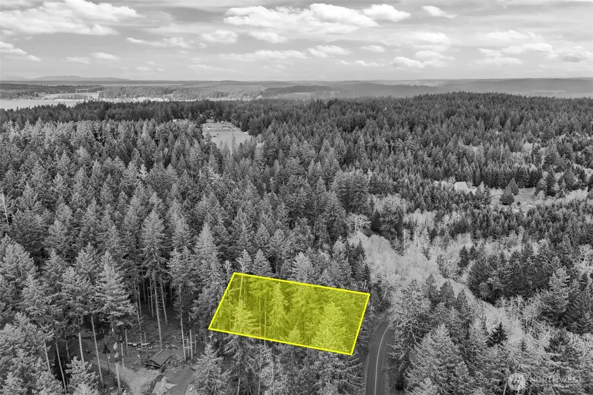 12613 Camus Road, Anderson Island, WA 98303 - #1