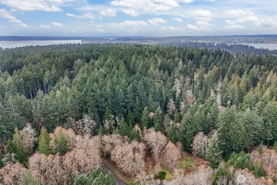 12613 Camus Road, Anderson Island, WA 98303 - #2