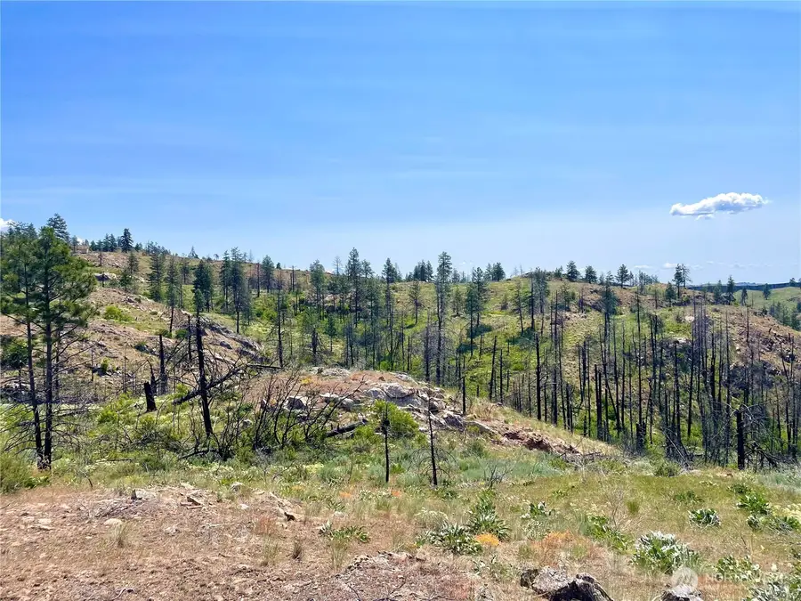 0 Madd Mtn Road, Okanogan, WA 98840 - #3