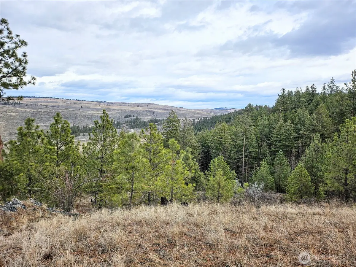 315 W Corral Drive, Oroville, WA 98844 - #1