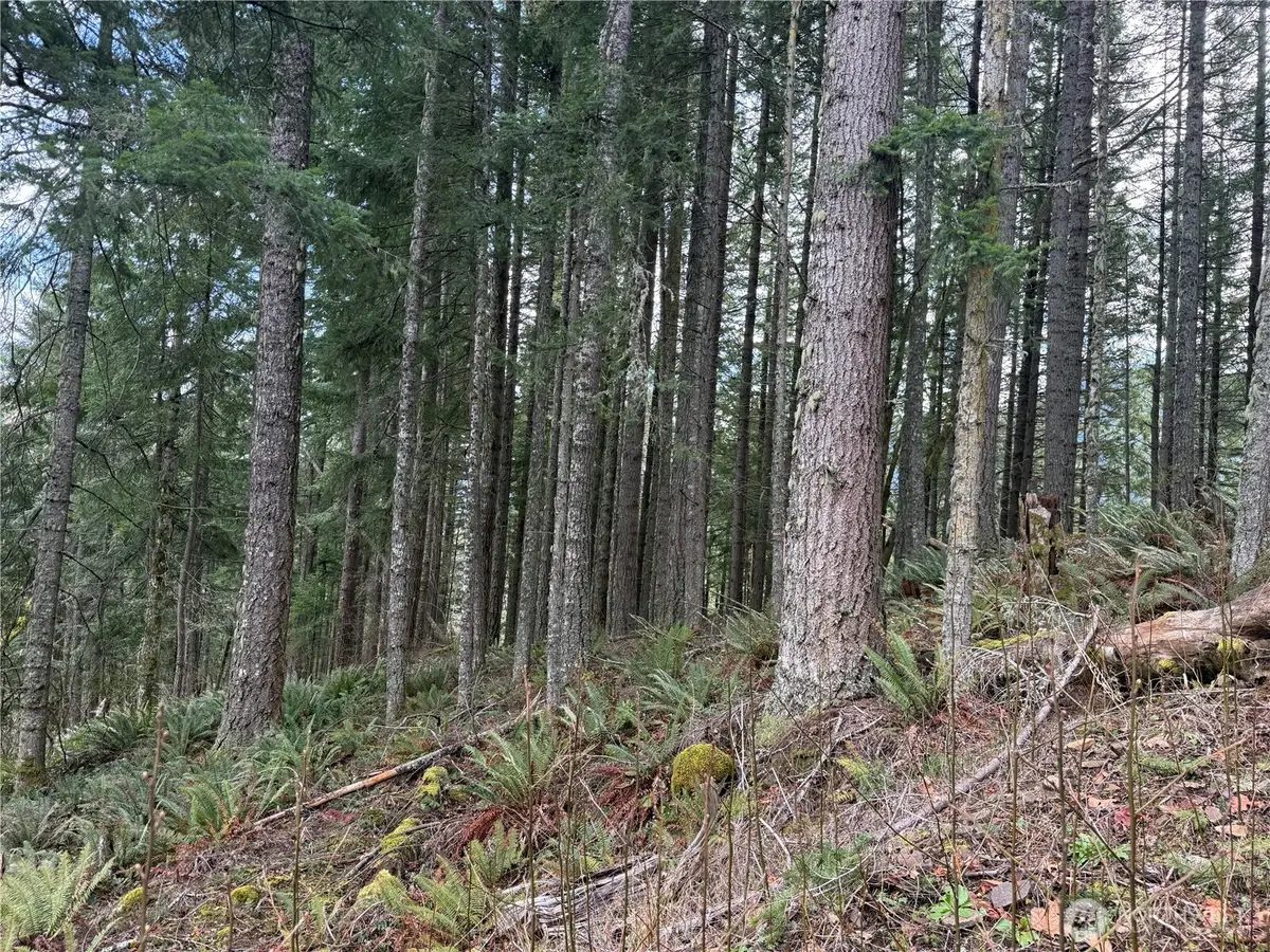 53007 128th Avenue E, Eatonville, WA 98328 - #1