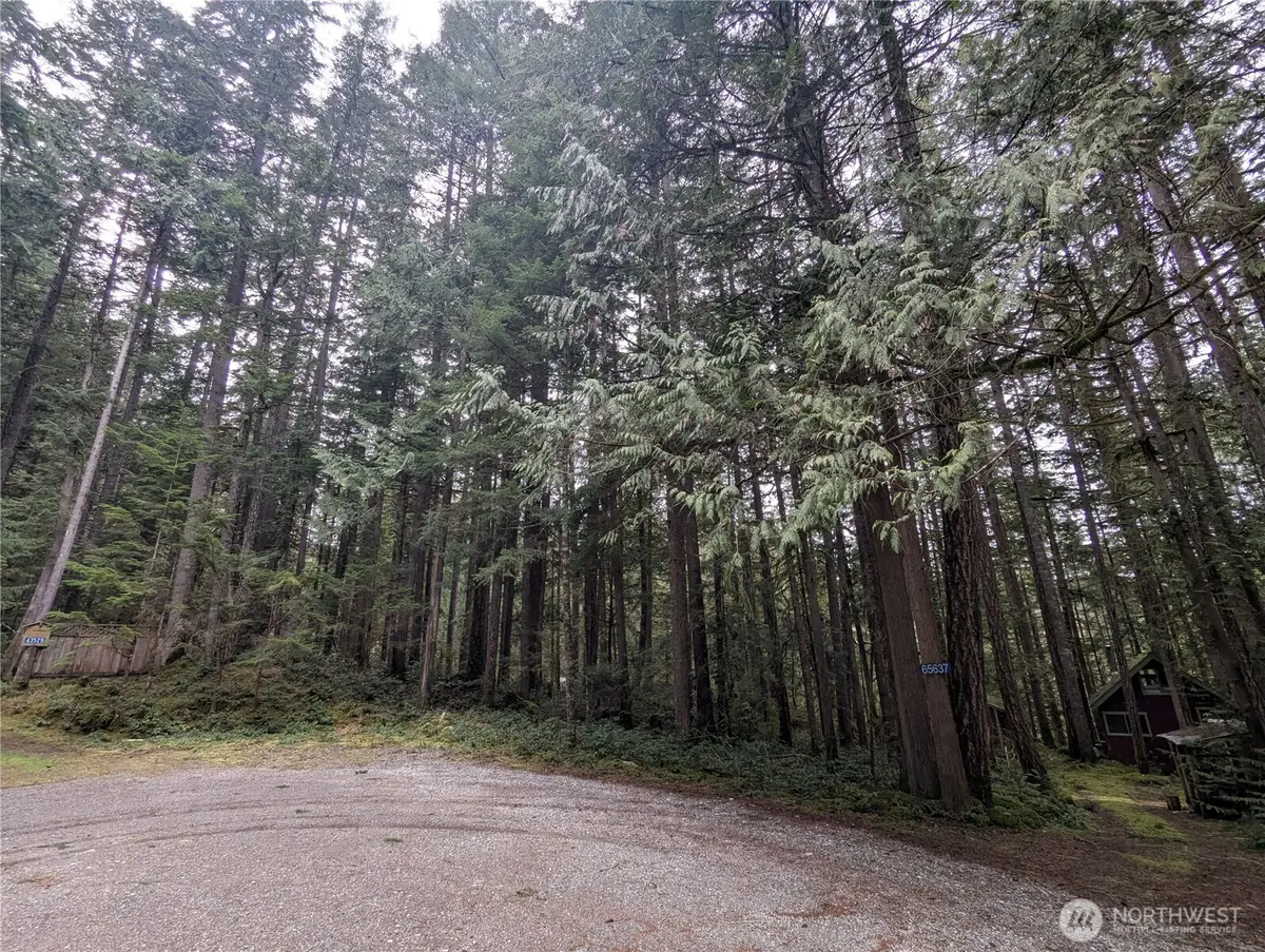 66 Skagit Way #66, Marblemount, WA 98267 - #1