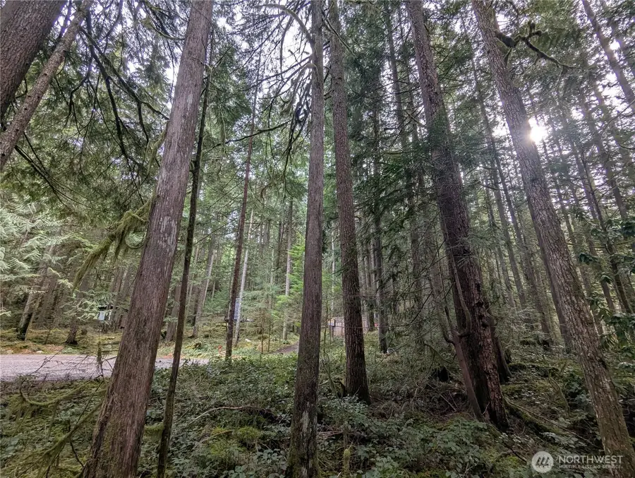 66 Skagit Way #66, Marblemount, WA 98267 - #3