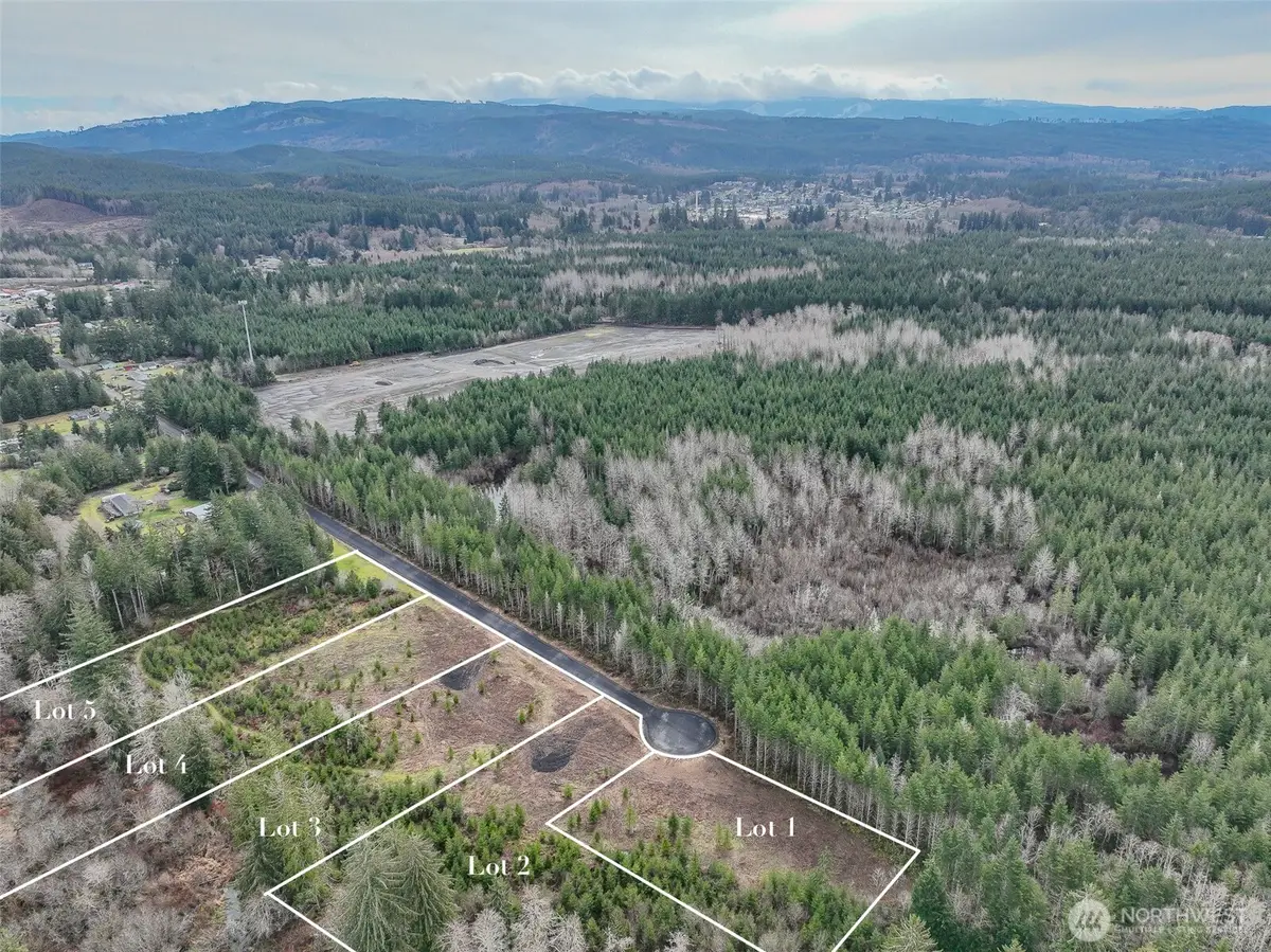 0 Larson Road, McCleary, WA 98557 - #1