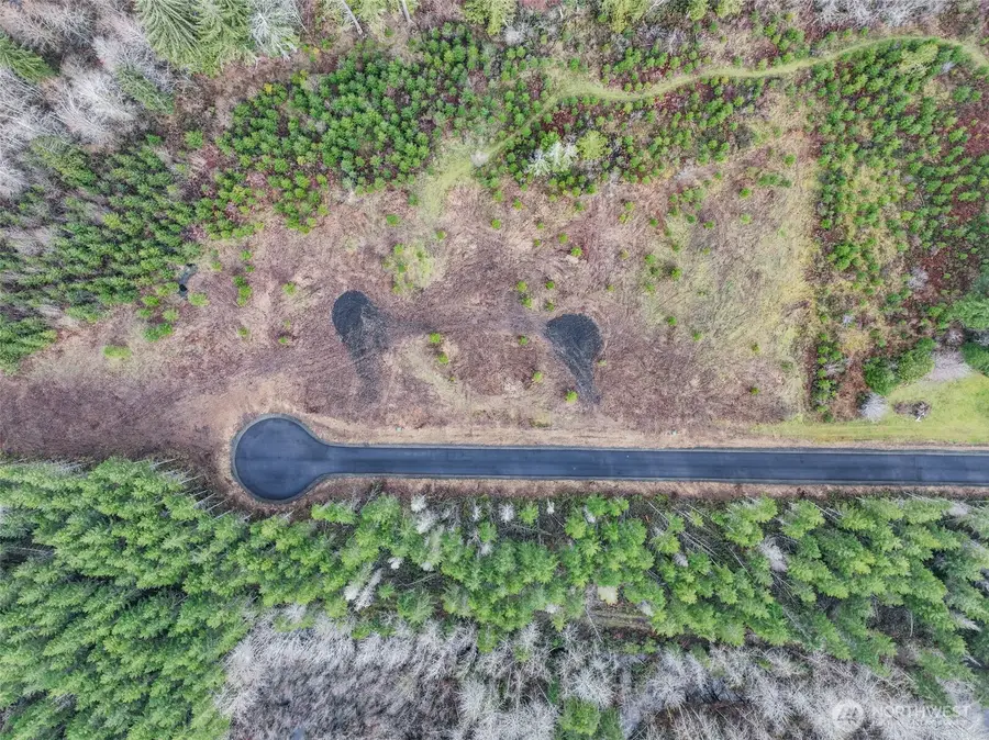 0 Larson Road, McCleary, WA 98557 - #3