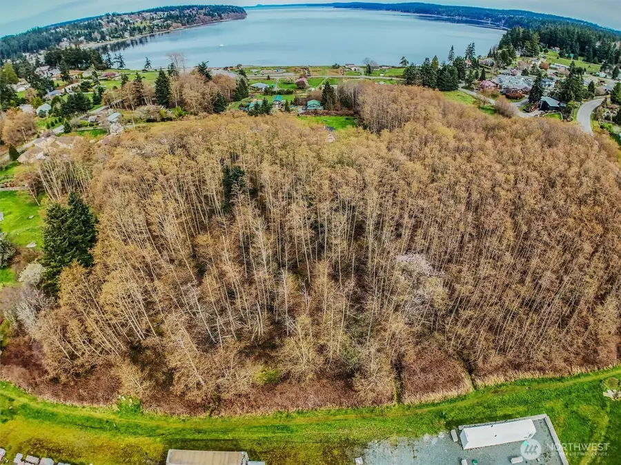 6 Dutch Hollow Drive #6, Freeland, WA 98249 - #2