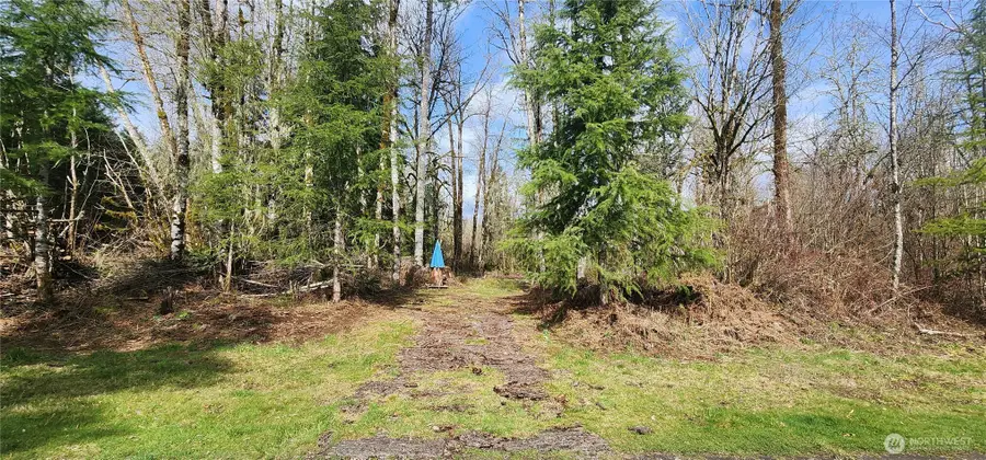 0 Justus Rd, Cinebar, WA 98533 - #2