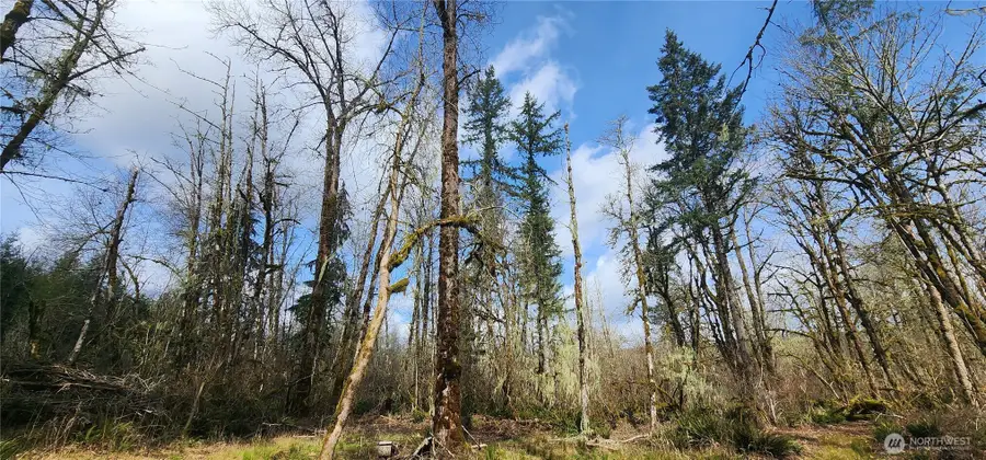 0 Justus Rd, Cinebar, WA 98533 - #3