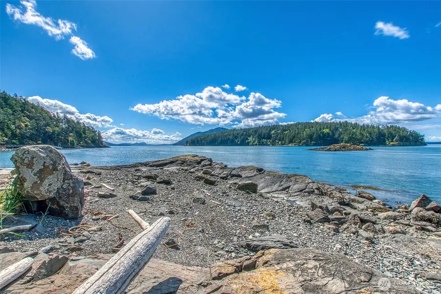 202 Avilion Place, Olga, WA 98245 - #3