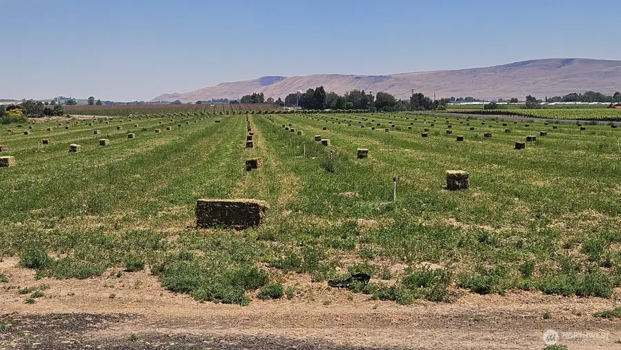 125498 W Mccreadie, Prosser, WA 99350 - #2