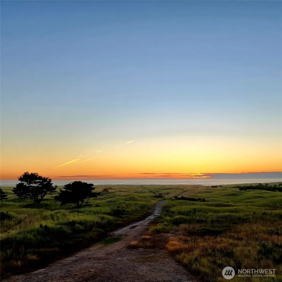 304 14th Street Nw #115, Long Beach, WA 98631 - #1